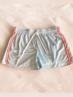 Nike Dry Fit Swim Shorts Size L Light Blue Orange Stripes Lined 5” Inseam